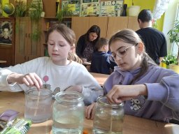 Czysty Bug - warsztaty dla klas IV-V